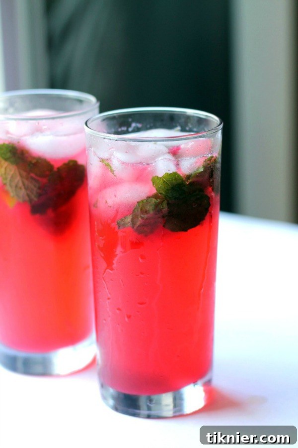 A beautifully composed close-up of a Blackberry Mojito, highlighting the vibrant color, ice, mint leaves, and blackberries, creating an irresistible visual appeal.