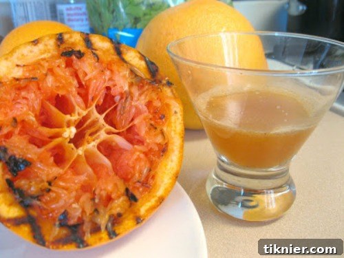Smoky Greyhound Cocktail with grilled grapefruit slice