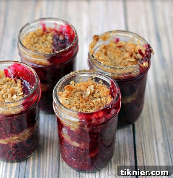 10 Incredible Fruit Delights 4 Delicious individual Blackberry Crisp served in a jar, featuring a sweet and tart blackberry filling with a golden, crunchy oat topping.