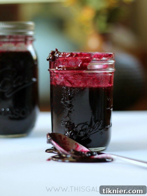 10 Incredible Fruit Delights 10 Homemade Blueberry Preserves, rich with sweet blueberries, perfect for toast, pancakes, or as a flavorful topping.