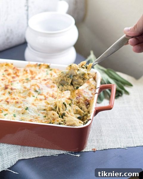 A glorious Four Cheese Pumpkin Pasta Bake, topped with golden cheese and herbs. A comforting dish from www.thisgalcooks.com, perfect for #pumpkin and #pasta lovers seeking #savorydishes.