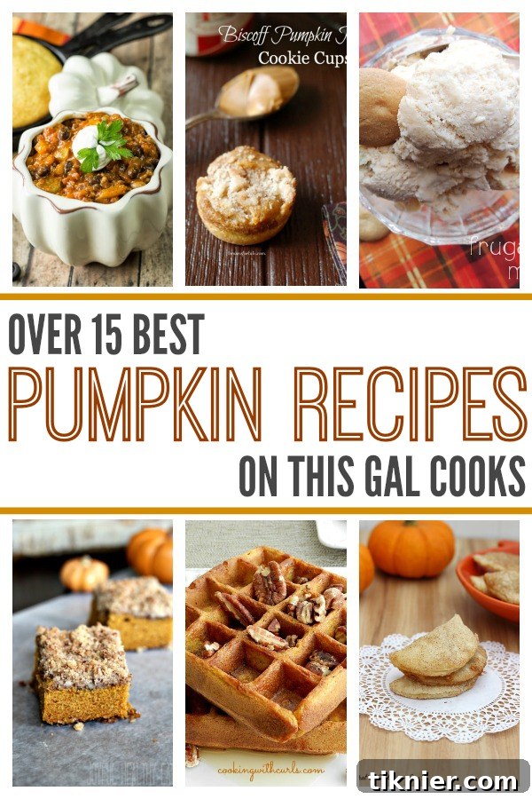 Over 17 Best Pumpkin Recipes - A diverse collection for fall cooking, featuring sweet and savory dishes from top food bloggers.