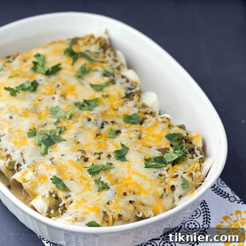 Green Sauce Chicken Enchiladas