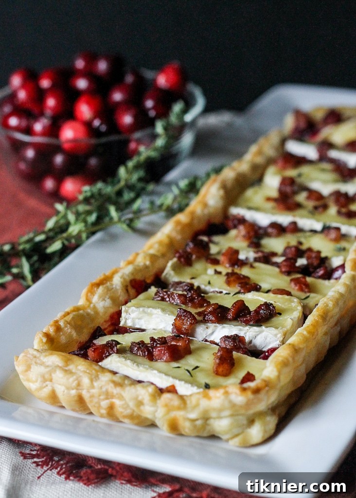 Gourmet Cranberry Brie Tart with Pancetta and Thyme, a sophisticated holiday appetizer.
