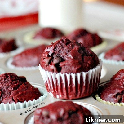 My favorite: Red Velvet Chocolate Chip Muffins by Lemons for Lulu