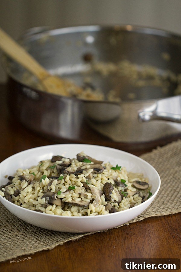 Orzo with creamy mushroom sauce, garnished with fresh parsley.