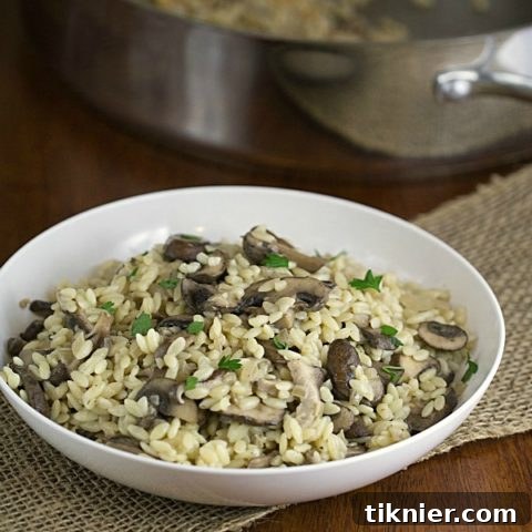 Savory Orzo with Mushrooms - a beautifully presented bowl of creamy pasta with mushrooms.