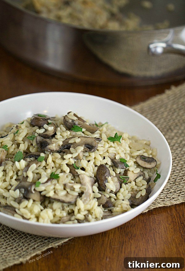 A final close-up shot of the Savory Orzo with Mushrooms, ready to be served.