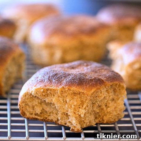 Hearty Whole Wheat Dinner Rolls recipe