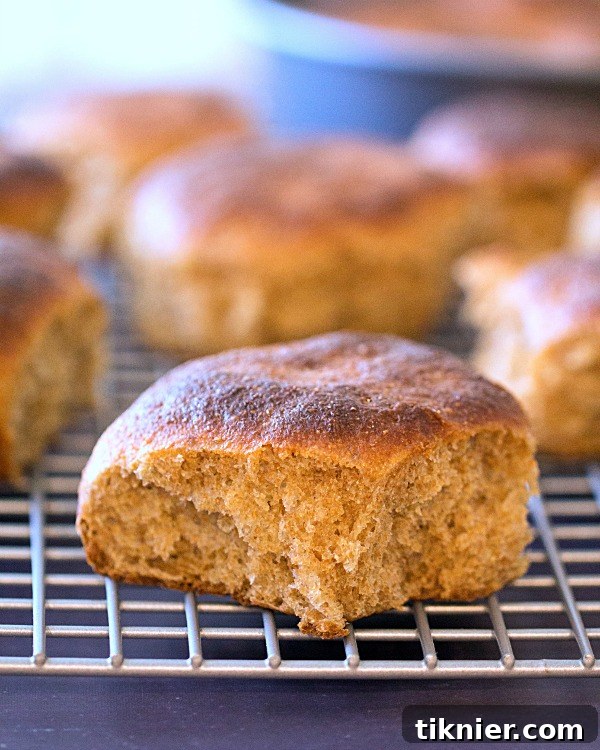 Beautifully golden-brown Whole Wheat Dinner Rolls