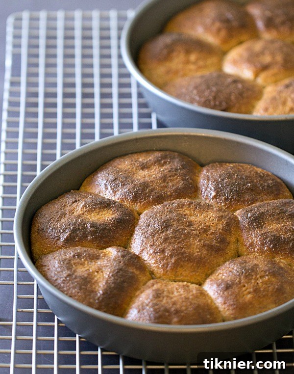 Closeup of a basket of warm Whole Wheat Dinner Rolls