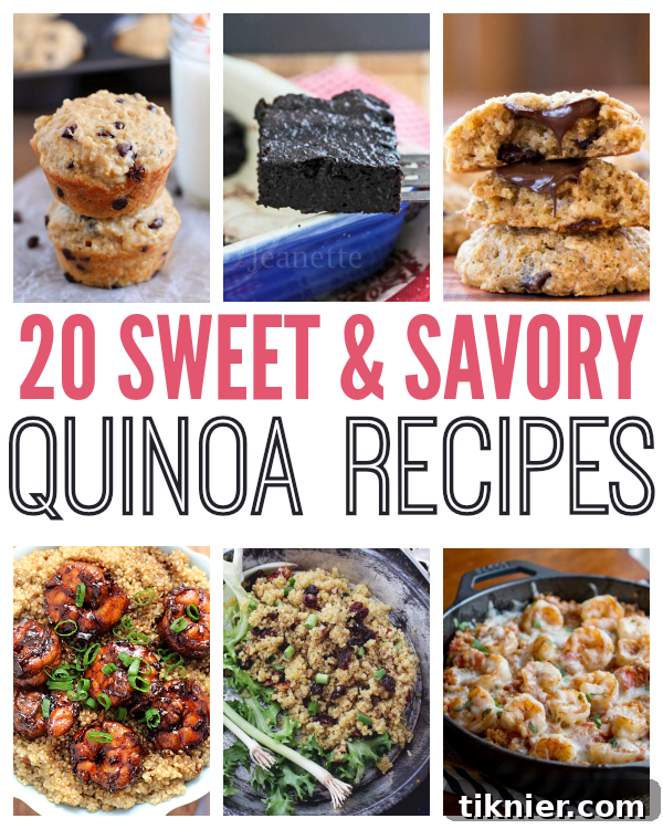 A diverse collection of sweet and savory quinoa dishes, showcasing healthy and delicious recipes