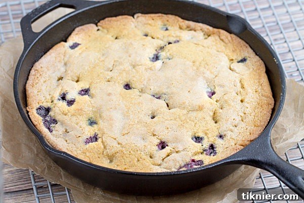 A large slice of super moist Blueberry Cornbread with blueberries visible, made with coconut milk and brown sugar.