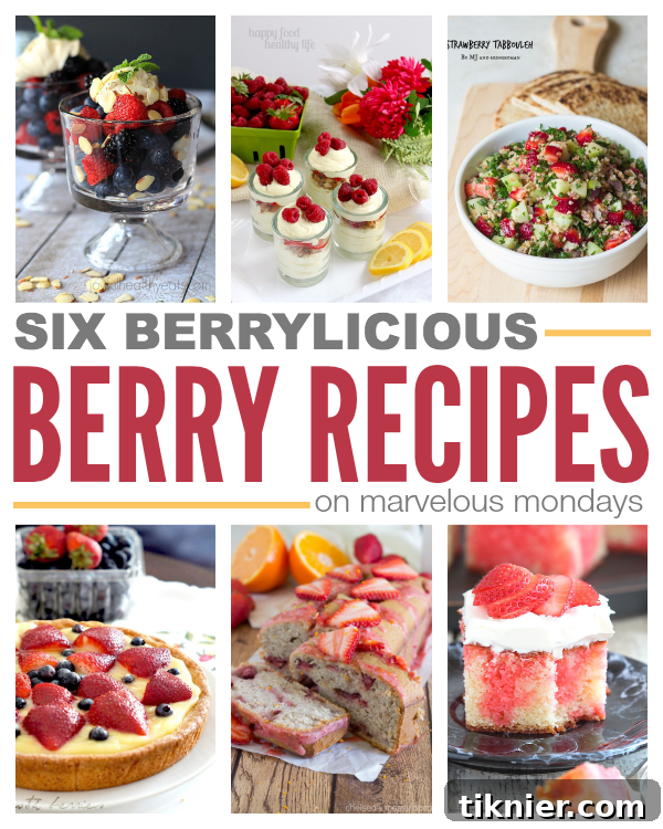Marvelous Mondays 97: Dive into Berrylicious Berry Recipes on This Gal Cooks