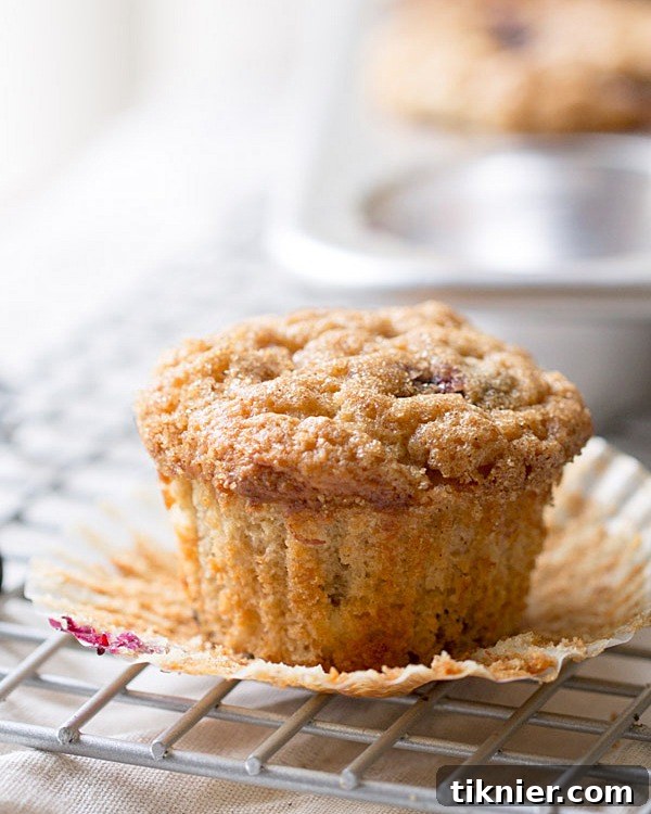 The BEST Blueberry Banana Yogurt Muffins! Topped with a crunchy cinnamon sugar topping and filled with blueberries and chocolate chips!