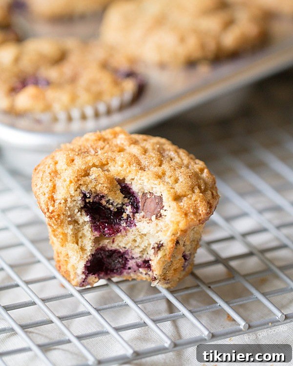 The BEST Blueberry Banana Yogurt Muffins! Topped with a crunchy cinnamon sugar topping and filled with blueberries and chocolate chips!