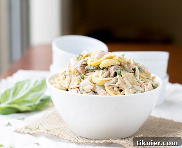 Mediterranean Grilled Salmon Orzo Salad 3 Close-up of Fresh Grilled Salmon and Vegetable Orzo Salad