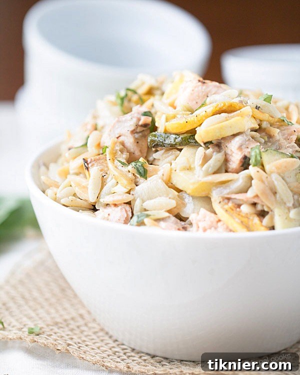 Mediterranean Grilled Salmon Orzo Salad 8 Flavorful Grilled Salmon and Vegetable Orzo Salad Recipe