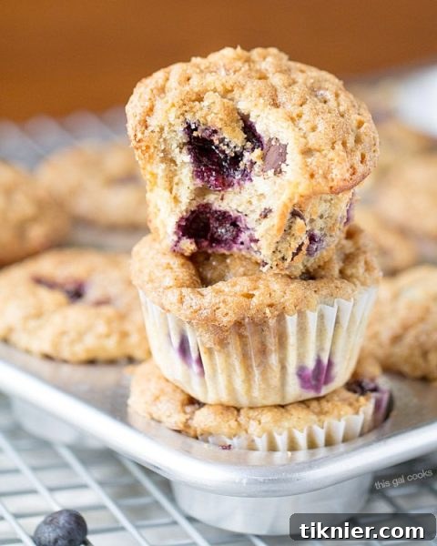 The BEST Blueberry Banana Yogurt Muffins with a crunchy cinnamon sugar topping and filled with blueberries and chocolate chips!