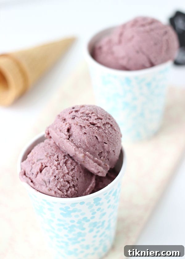Delicious dairy-free roasted fig and ginger ice cream
