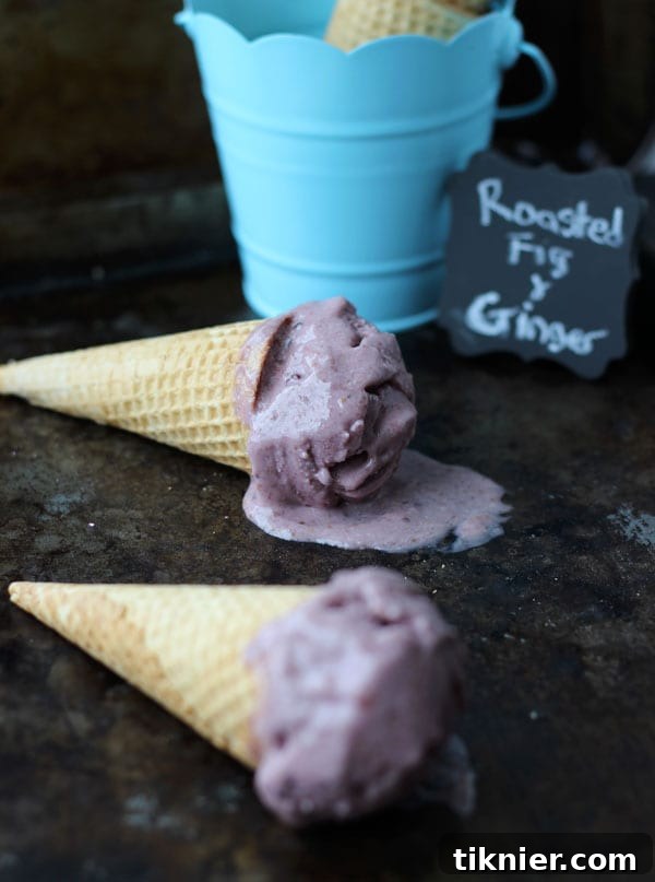 Close-up of creamy vegan fig coconut ginger ice cream