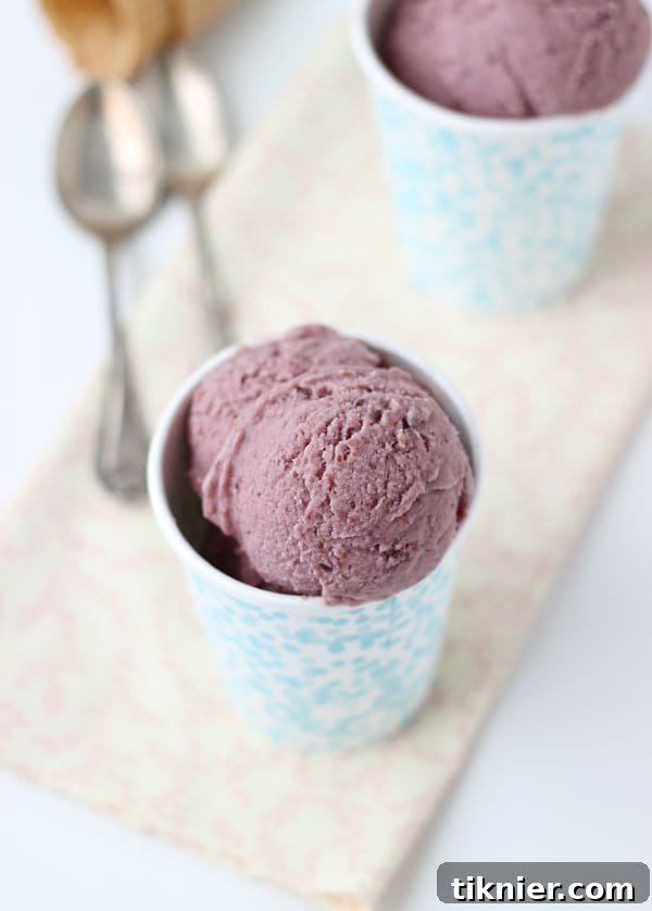 Scoops of dairy-free roasted fig and ginger ice cream