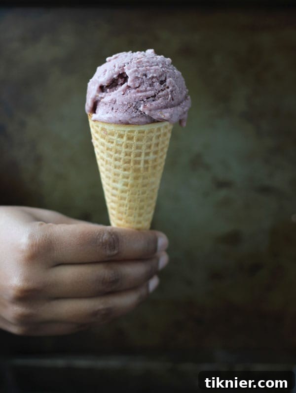 Roasted fig and ginger ice cream in a bowl