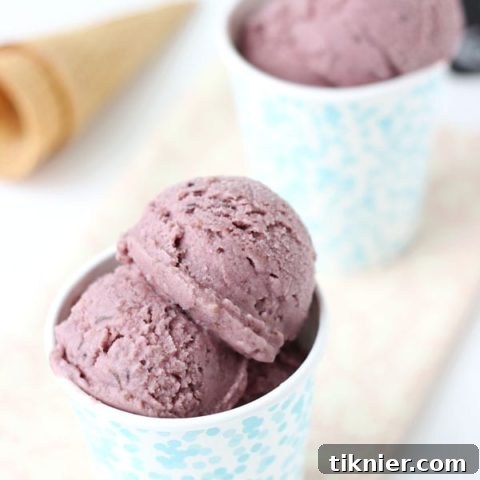 Roasted Fig & Ginger Ice Cream - featured image