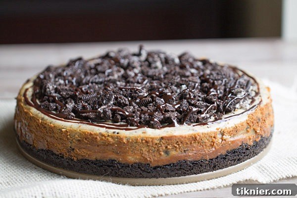 Peanut Butter Oreo Dream Cheesecake 4 Peanut Butter Oreo Cheesecake on This Gal Cooks