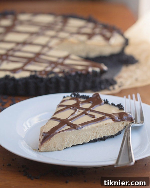 A creamy No Bake Cookie Butter Cream Pie, made dairy-free with coconut milk and vegan cream cheese.