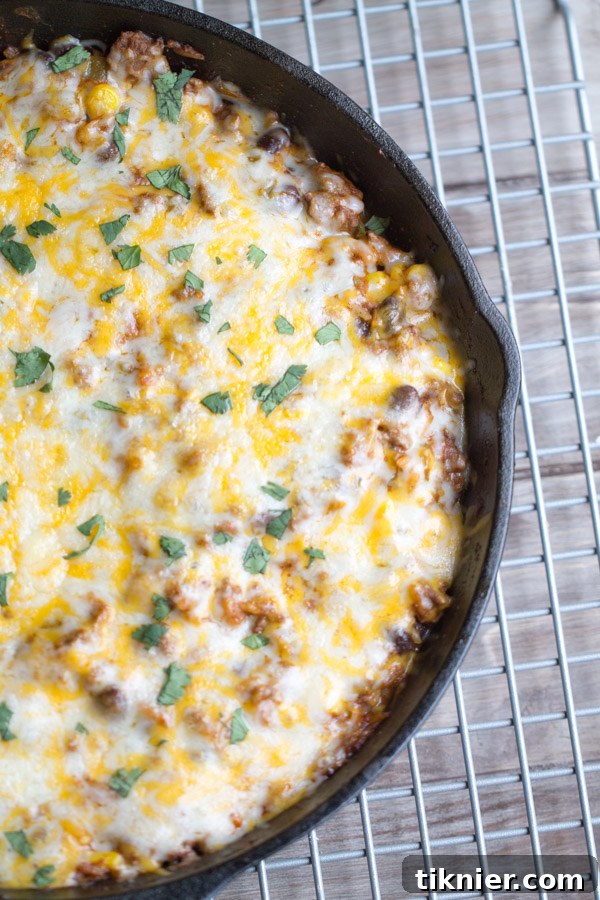 Quick Skillet Tex-Mex Beef Fiesta 6 Skillet Beef Tex Mex Casserole garnished with fresh cilantro, ready to serve.