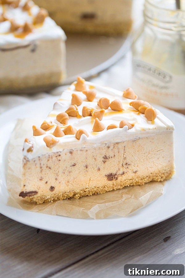 Pumpkin Spice Nutella Swirl Ice Cream Pie - a decadent, creamy, and cool fall dessert with rich pumpkin spice and hazelnut swirl, perfect for any occasion.