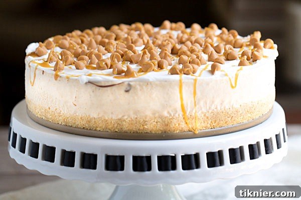 Close-up of a slice of Pumpkin Spice Nutella Swirl Ice Cream Pie showing the creamy texture and distinct Nutella swirl.
