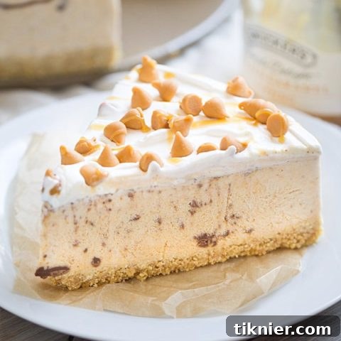 Pumpkin Spice Nutella Swirl Ice Cream Pie - a decadent fall dessert with creamy pumpkin ice cream and chocolate hazelnut swirl.