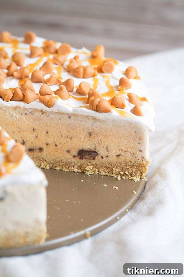 Full Pumpkin Spice Nutella Swirl Ice Cream Pie, topped with Cool Whip, butterscotch chips, and caramel drizzle, ready for serving.