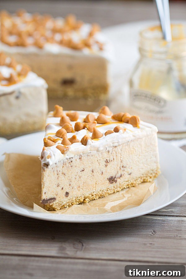 Close-up of a perfectly sliced piece of Pumpkin Spice Nutella Swirl Ice Cream Pie showing layers.