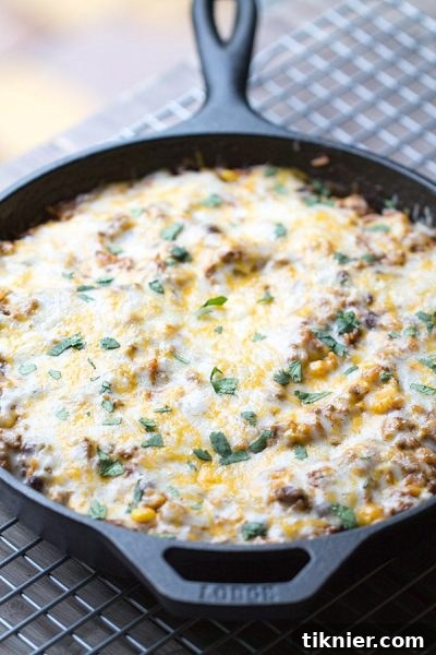 Skillet Simplicity For Fridays And Beyond 7 Easy Beef Tex Mex Skillet Casserole - One-pan family dinner