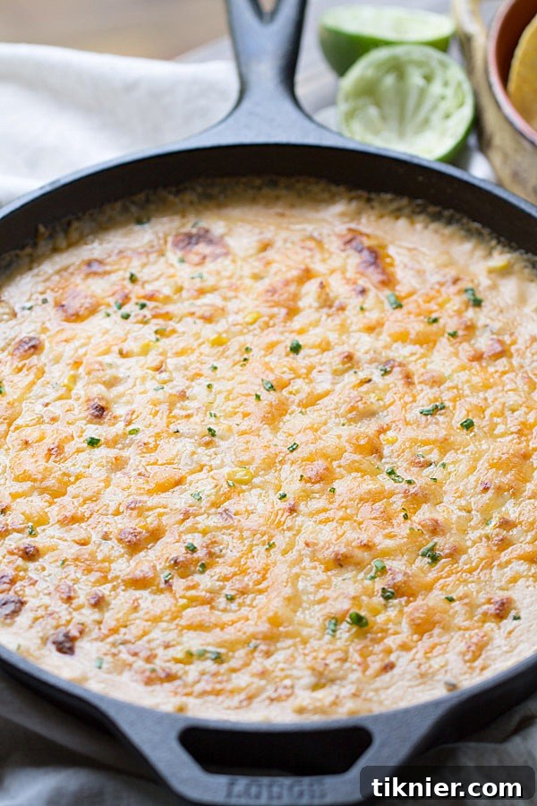 A spread of delicious appetizers including Cheesy Chipotle Shrimp and Corn Dip