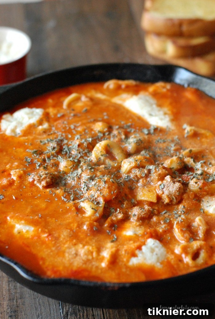 15 One-Pan Wonders for Effortless Meals 17 Skillet tortellini lasagna, offering cheesy, layered goodness in an easy, one-pan format.