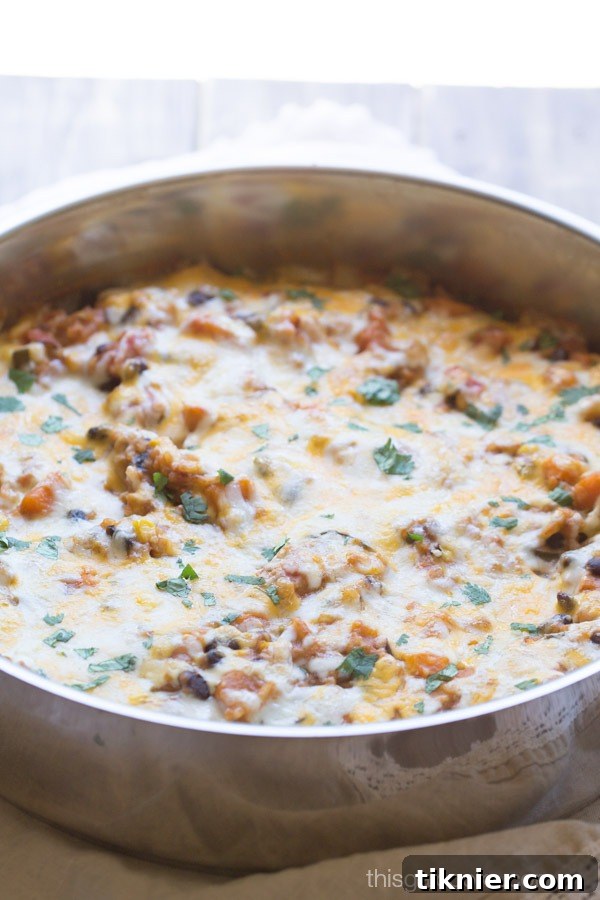 Skillet Sweet Potato Enchilada Bake 5 Close-up of cheesy Sweet Potato Enchiladas Skillet Casserole