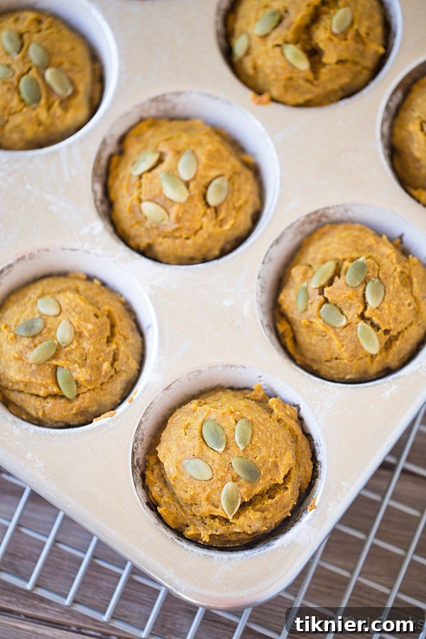 An appetizing close-up of a single healthier pumpkin muffin, showcasing the soft interior and the golden-brown crust.