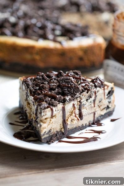 Decadent Peanut Butter Oreo Cheesecake by This Gal Cooks, featuring a creamy filling and a crunchy Oreo crust.