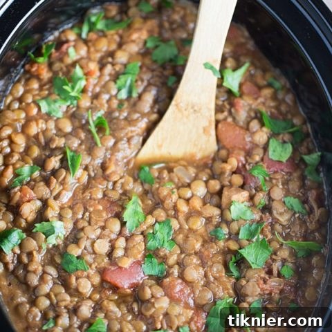 Slow Cooker Moroccan Lentil Soup