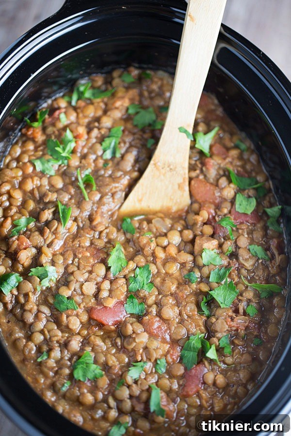 Final delicious serving of Slow Cooker Moroccan Lentil Soup, topped with fresh parsley.