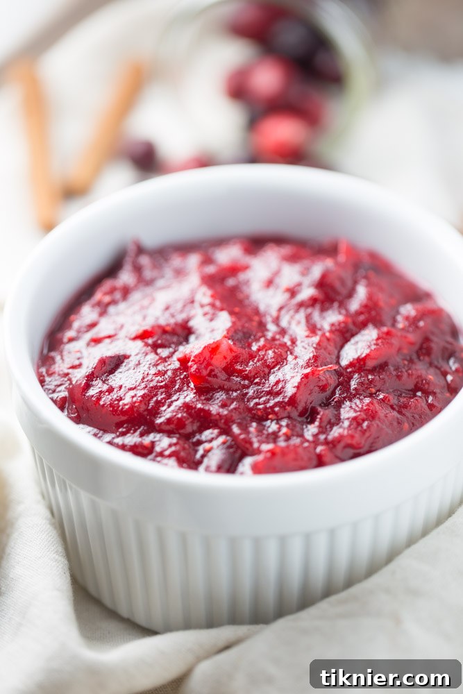 Delicious Cranberry Orange Apple Sauce for the holidays