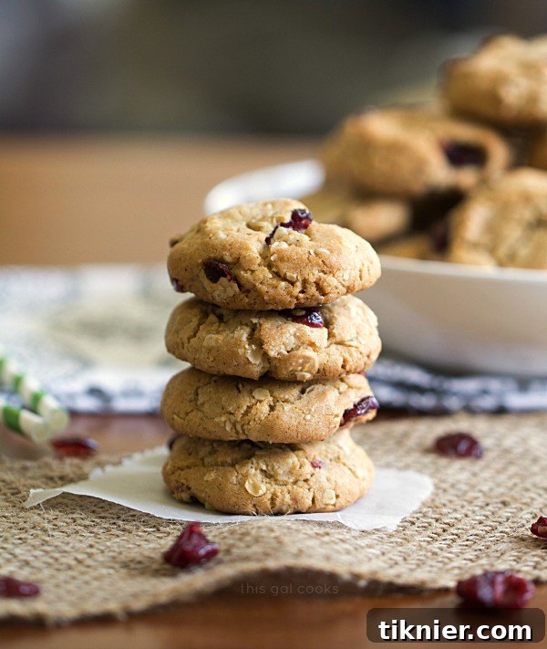 Delicious Cranberry Oatmeal Cookies, studded with sweet white chocolate chips and infused with warm holiday spices like cinnamon, nutmeg, and cloves, perfect for festive occasions.