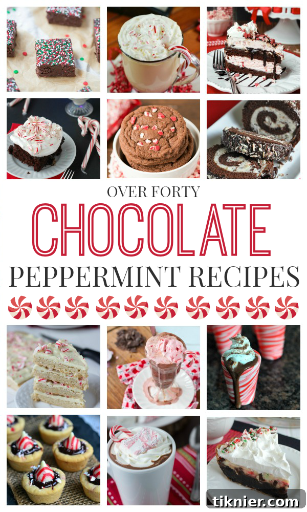 40+ Chocolate Peppermint Treats 2 Over 40 irresistible chocolate peppermint recipes perfect for holiday baking, including cookies, cakes, drinks, and fudge.