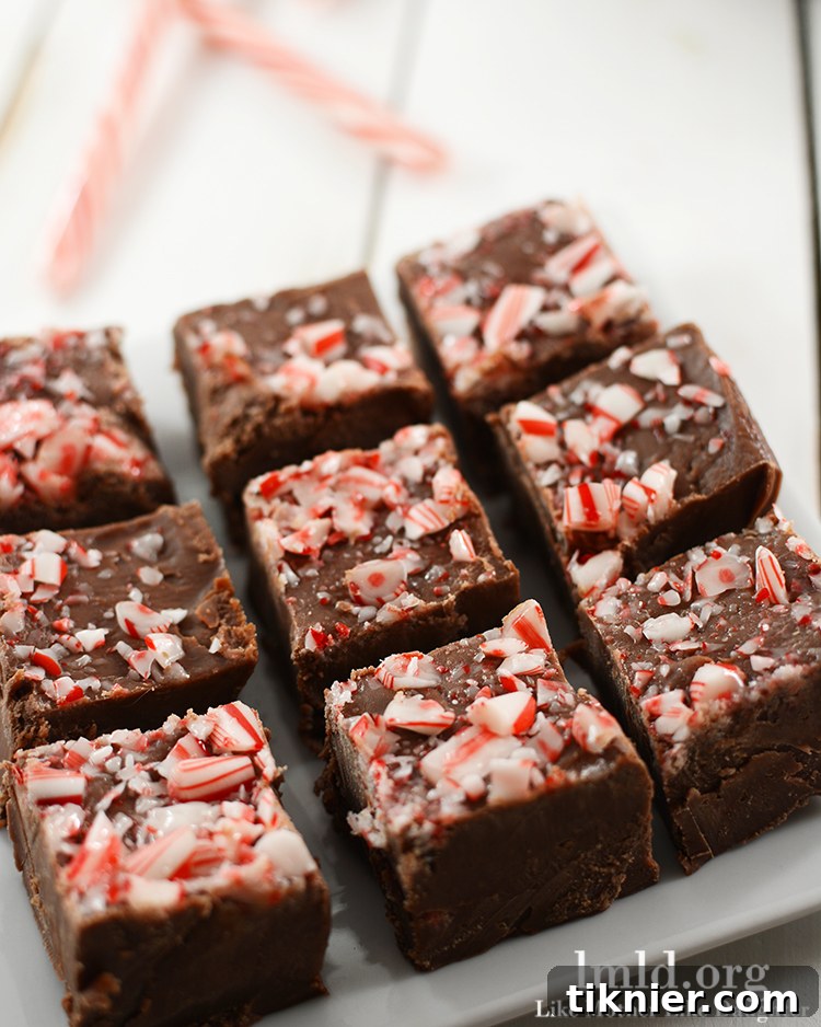 40+ Chocolate Peppermint Treats 14 Easy Peppermint Fudge, a quick and delicious holiday treat by LMLD