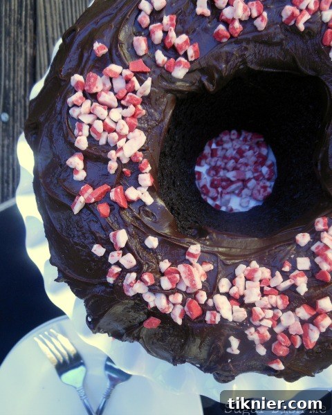 40+ Chocolate Peppermint Treats 25 Rich Peppermint Fudge Cake, a festive and moist holiday dessert from Sugar Dish Me