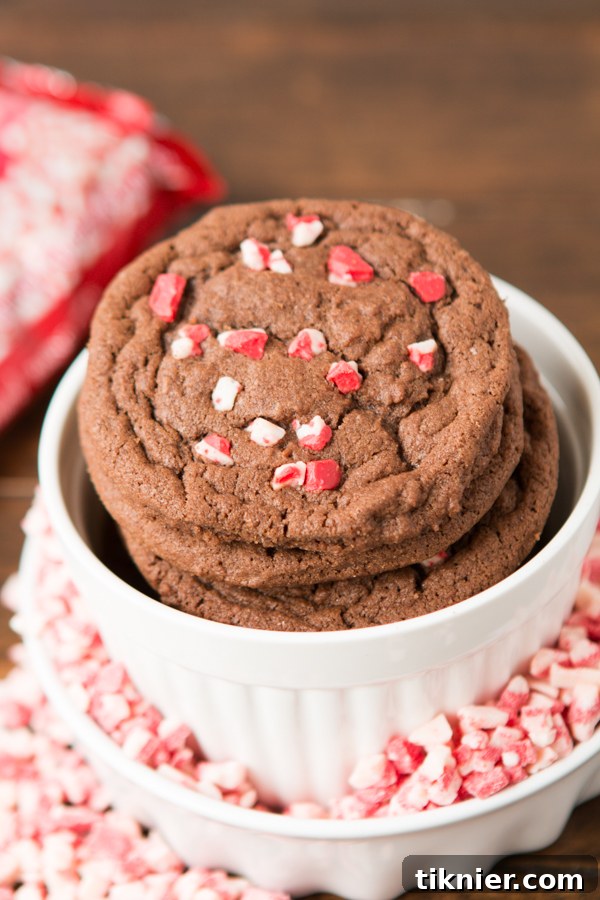 40+ Chocolate Peppermint Treats 5 Delicious Chocolate Peppermint Chip Cookies with festive minty flavor by Oh Sweet Basil